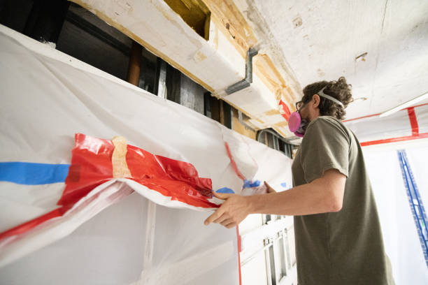 Best Attic Mold Removal  in Island Lake, IL