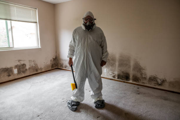 Island Lake, IL Mold Removal Company