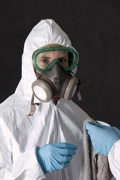 Best Industrial Mold Remediation  in Island Lake, IL